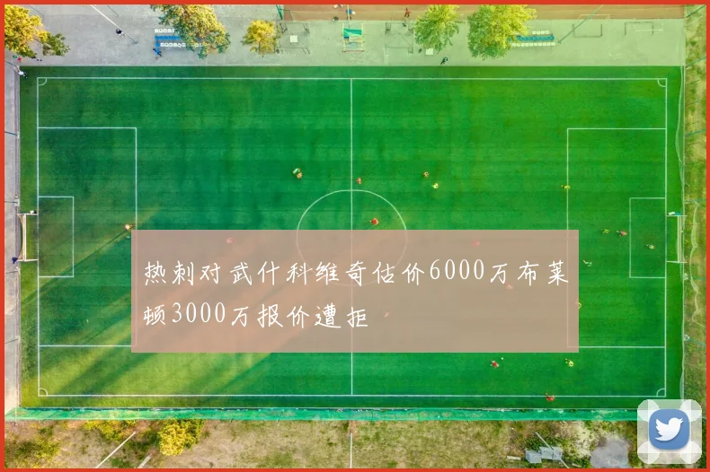 热刺对武什科维奇估价6000万布莱顿3000万报价遭拒